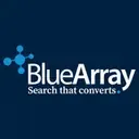 Bluearray.webp