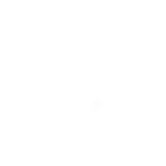 Page Speed for Seamless User Experience