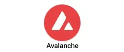 avalanche-bchain.webp