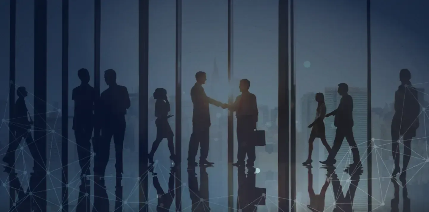 We are lookings for talented team members